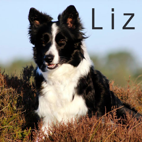 liz